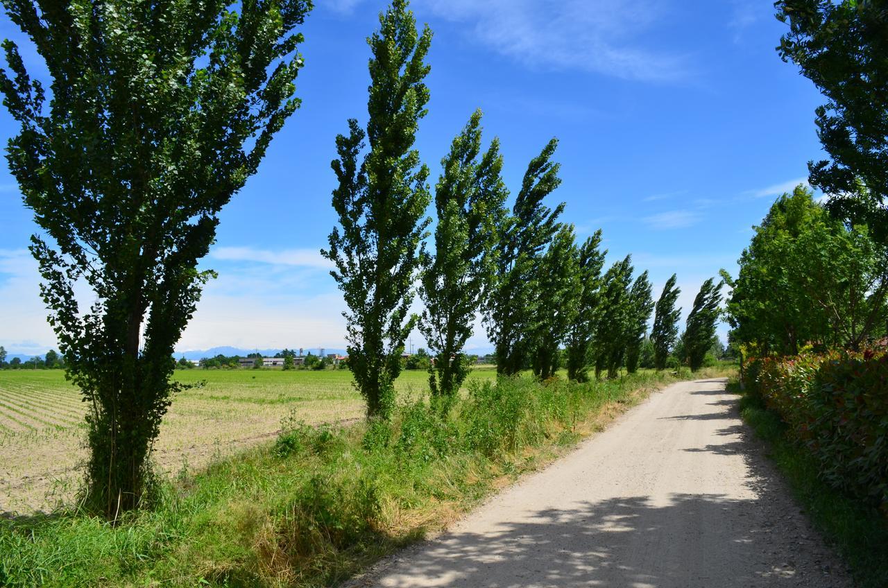 Agriturismo Cascina Maiocca 메디글리아 외부 사진